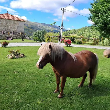 Alqueiturismo - * Guarda