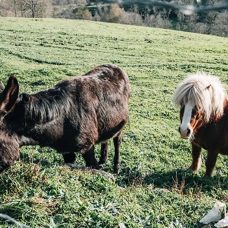 Village de vacances Alqueiturismo - *