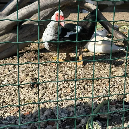 Üdülőpark Alqueiturismo -