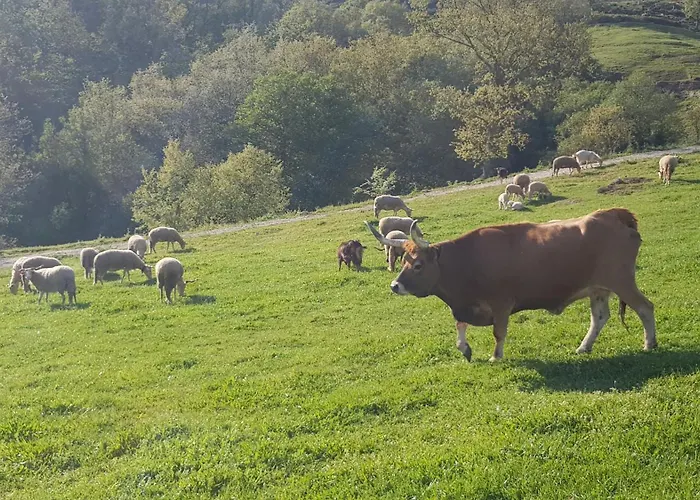 Alqueiturismo - פארק נופש *