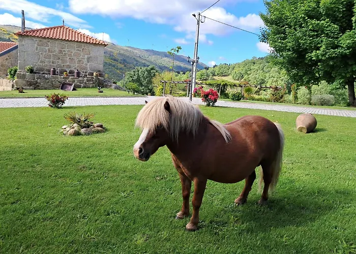 Alqueiturismo - * גוארדה