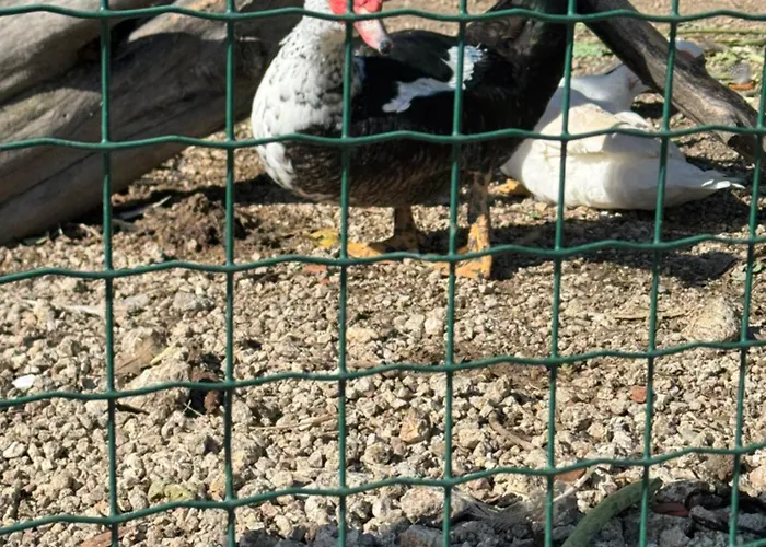 פארק נופש Alqueiturismo -